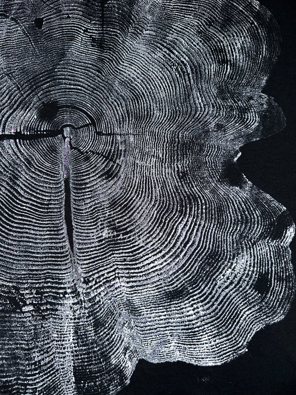 Red Cedar T-Shirt Hand-pressed, Tree Ring Art, Black-2XL