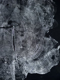 Red Cedar T-Shirt Hand-pressed, Tree Ring Art, Black-2XL