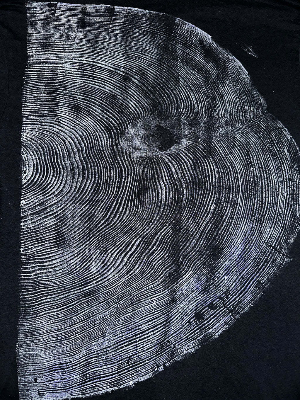 Coastal Redwood T-Shirt Hand-pressed, Tree Ring Art, Black-2X