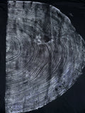 Coastal Redwood T-Shirt Hand-pressed, Tree Ring Art, Black-2X