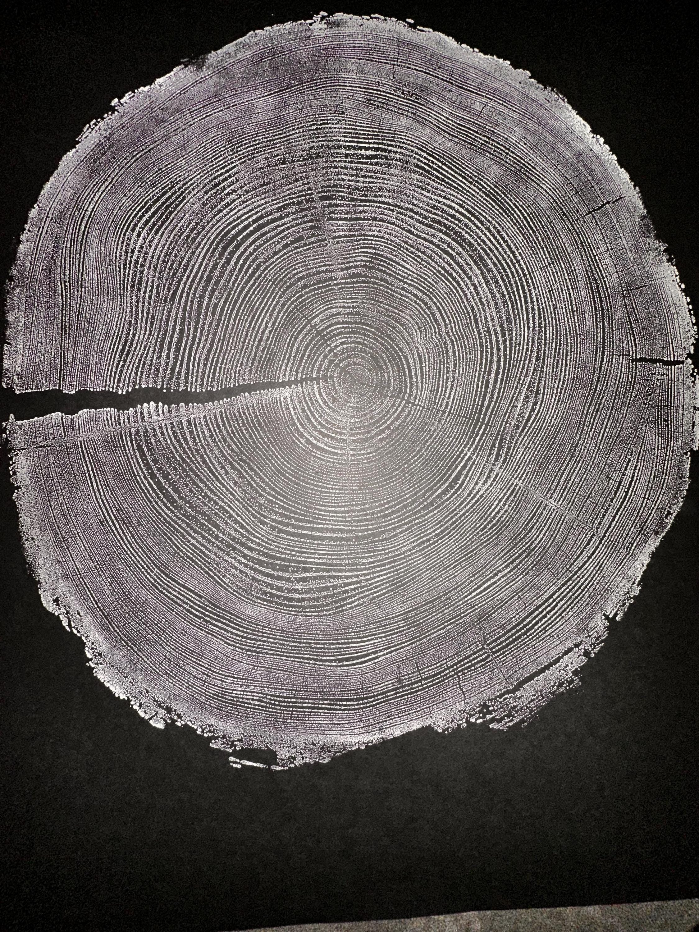 Handmade Redwood Tree Print 18x24