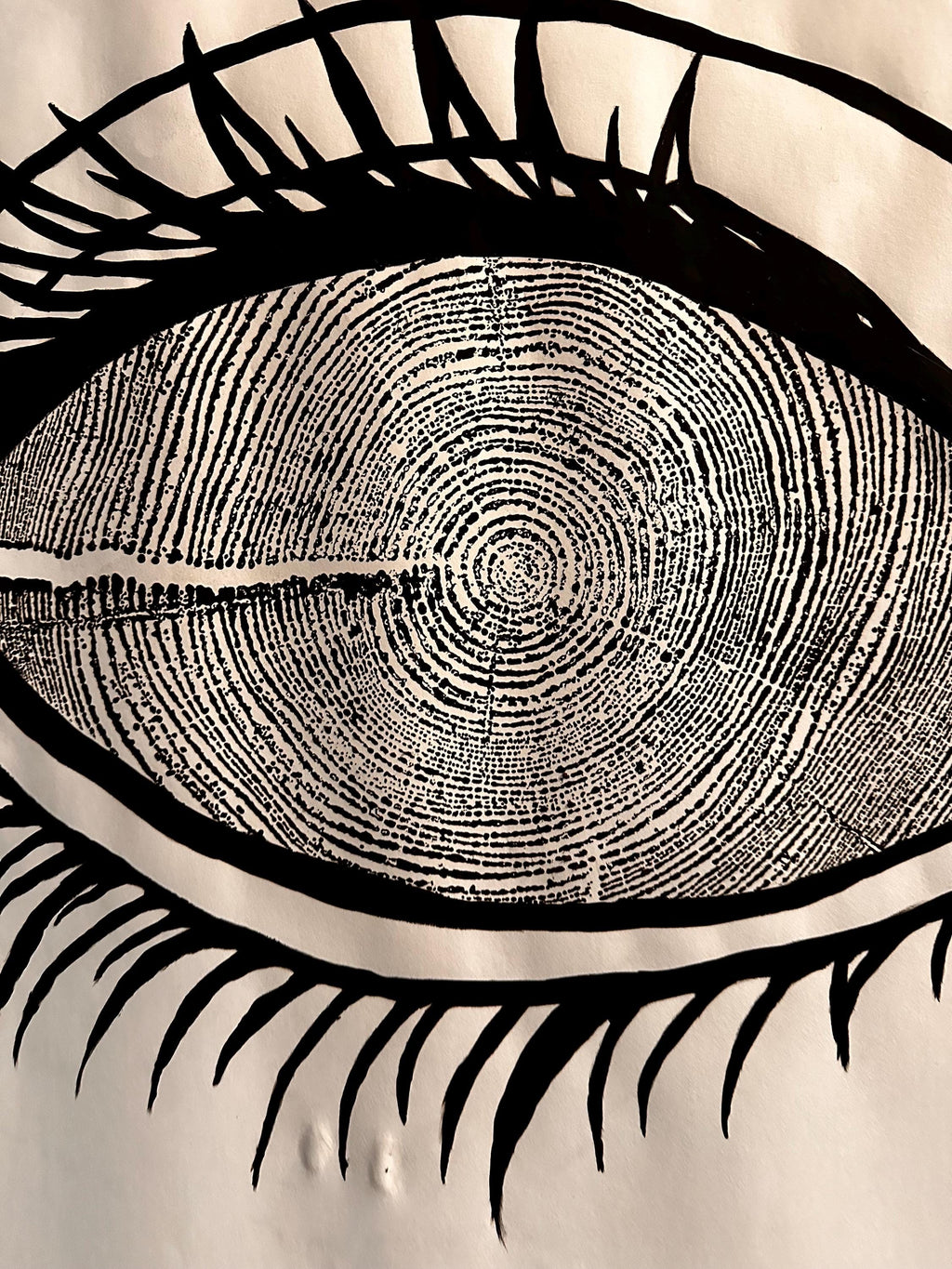 Redwood Tree Ring Eye-Ball Print 18x24 (Original Handmade)