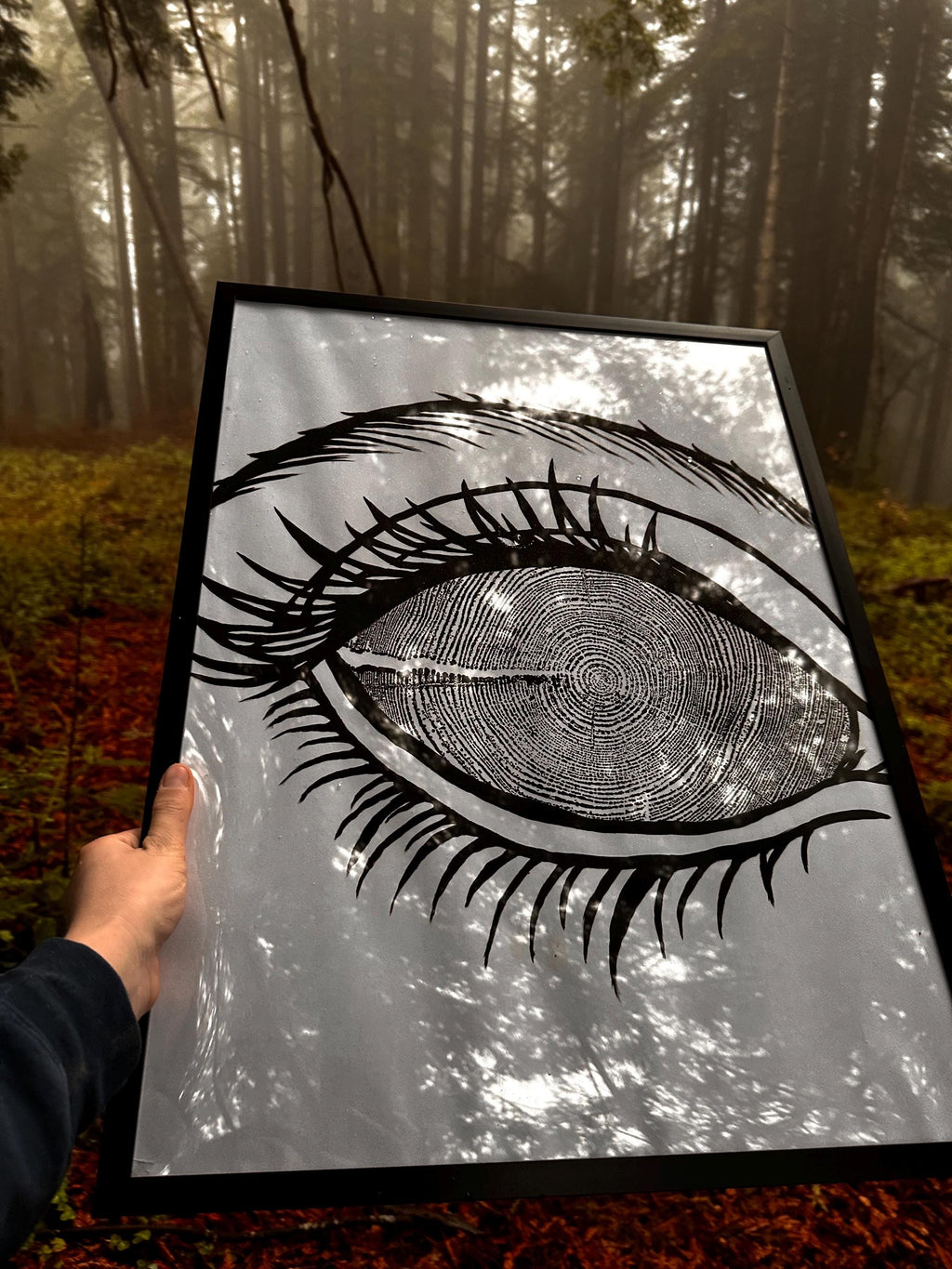 Redwood Tree Ring Eye-Ball Print 18x24 (Original Handmade)