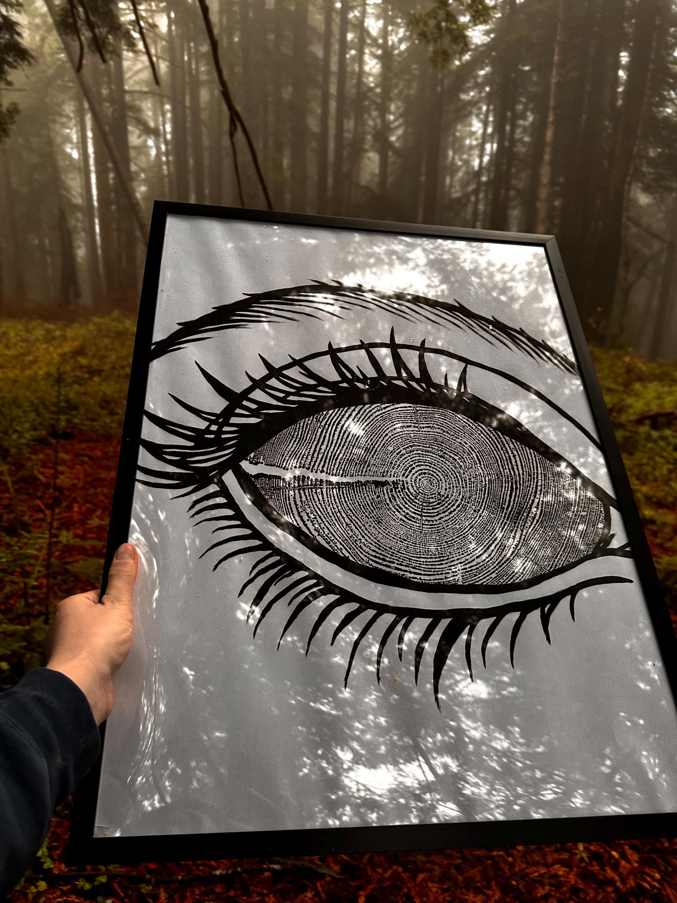 Redwood Tree Ring Eye-Ball Print 18x24 (Original Handmade)