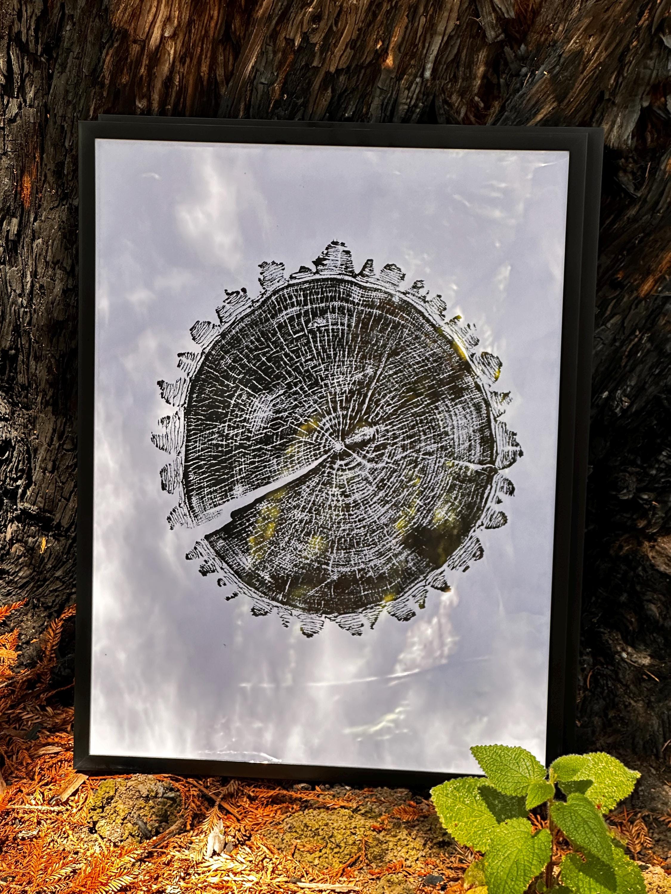 Handmade Walnut Tree Print 18x24