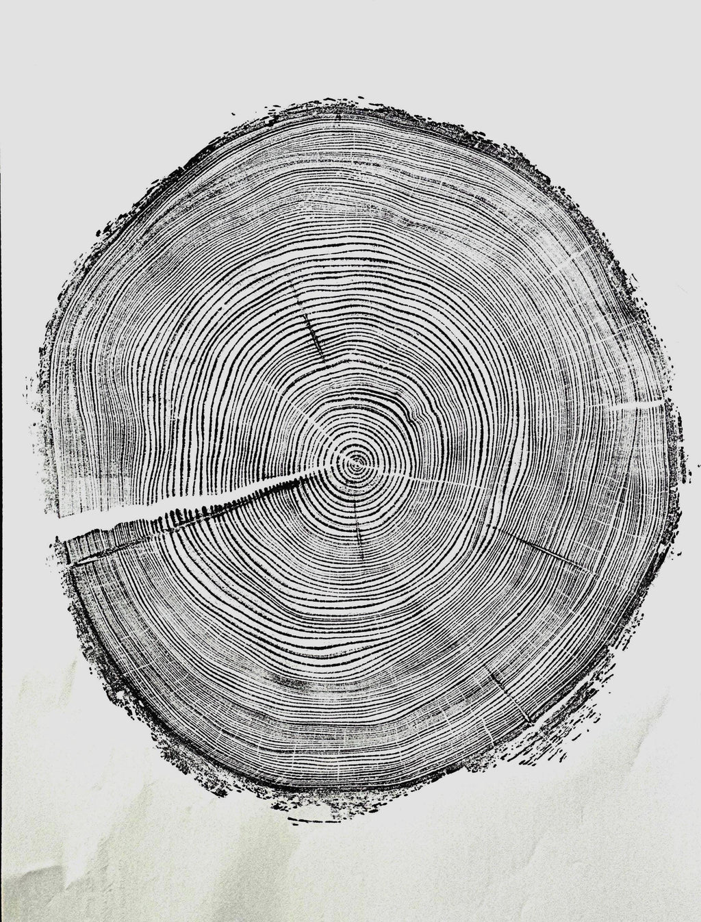 Handmade Redwood Tree Print 18x24