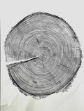 Handmade Redwood Tree Print 18x24