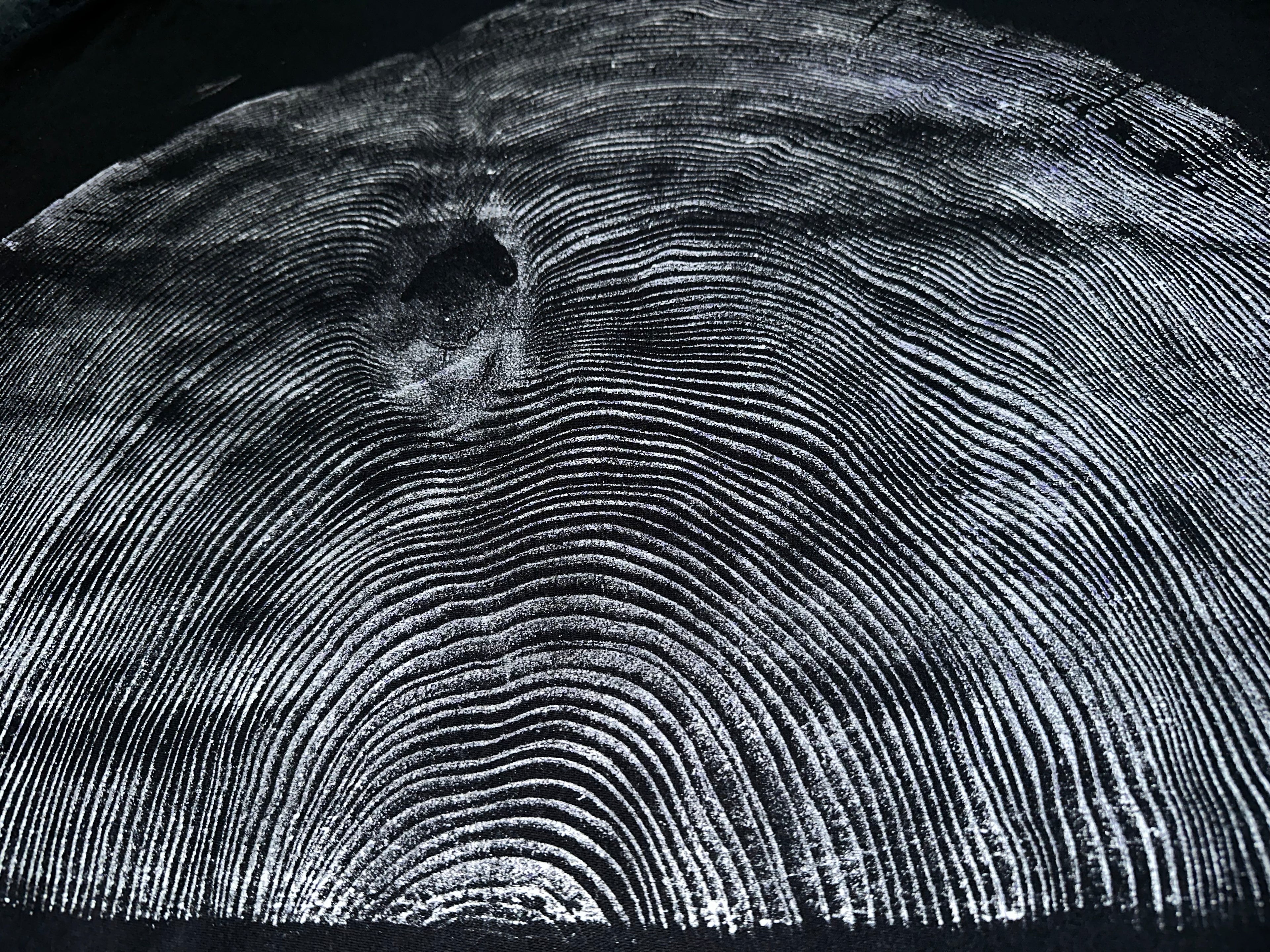 Coastal Redwood T-Shirt Hand-pressed, Tree Ring Art, Black-2X