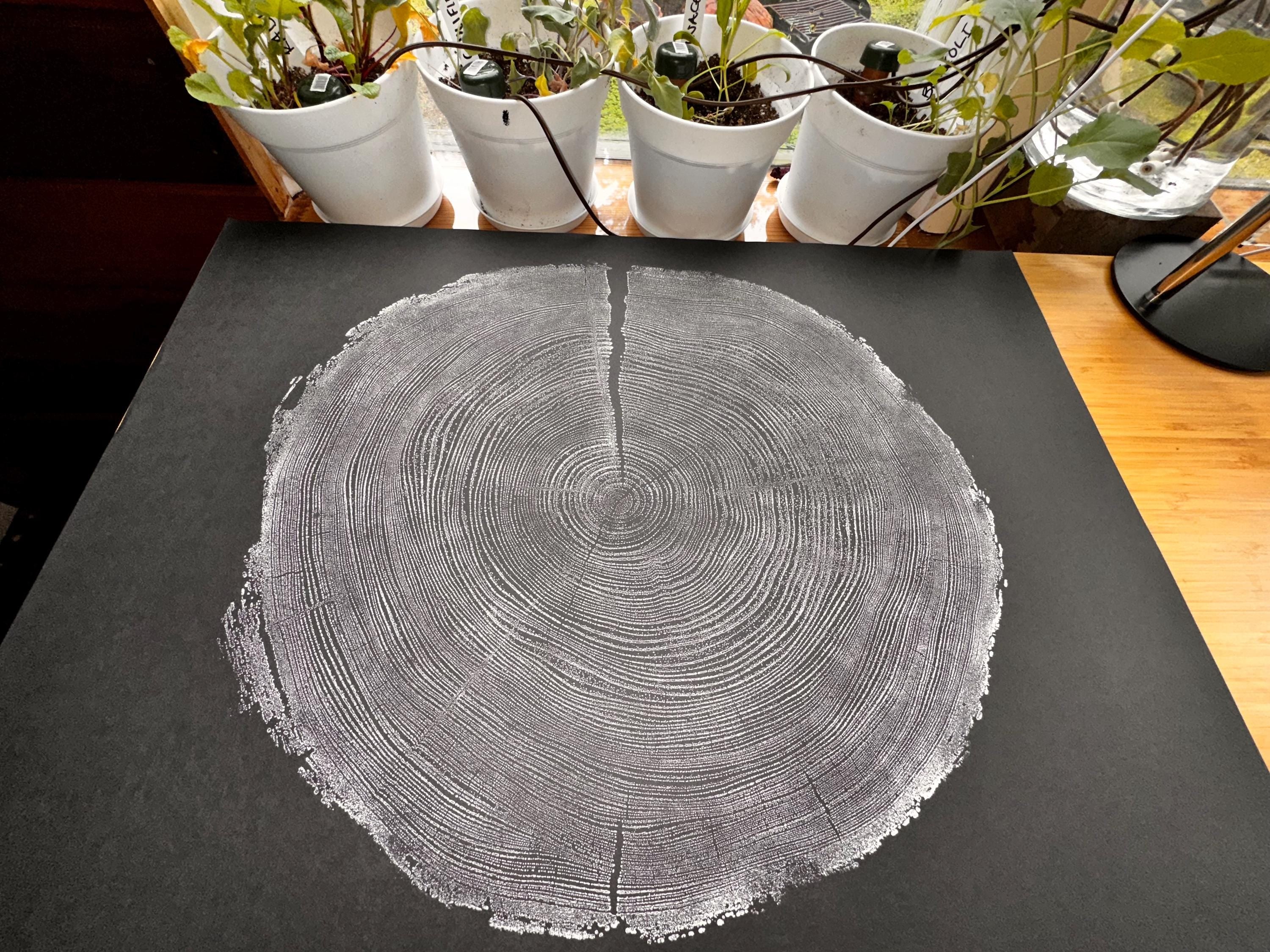 Handmade Redwood Tree Print 18x24