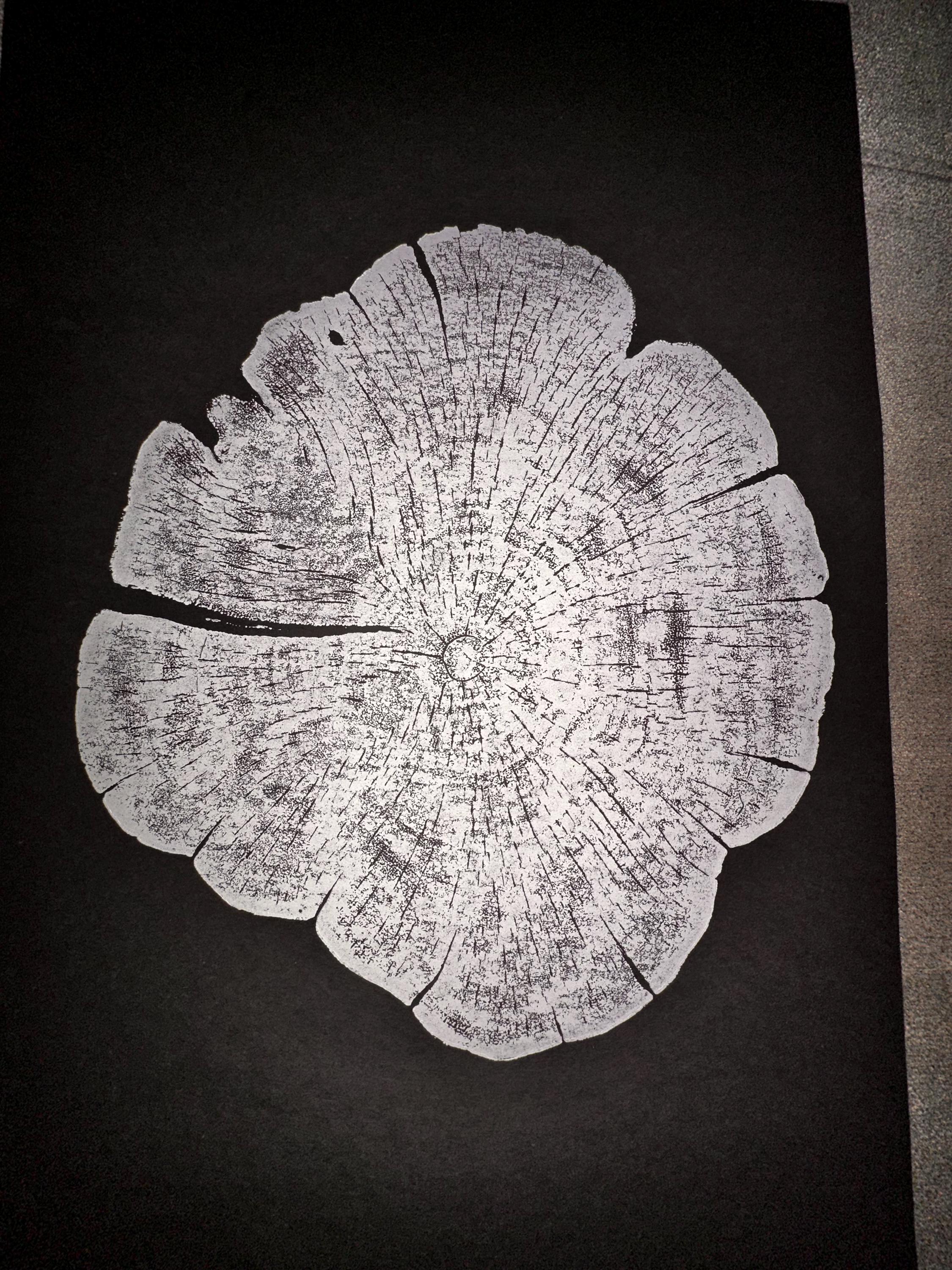Handmade Red Cedar Tree Print 12x18