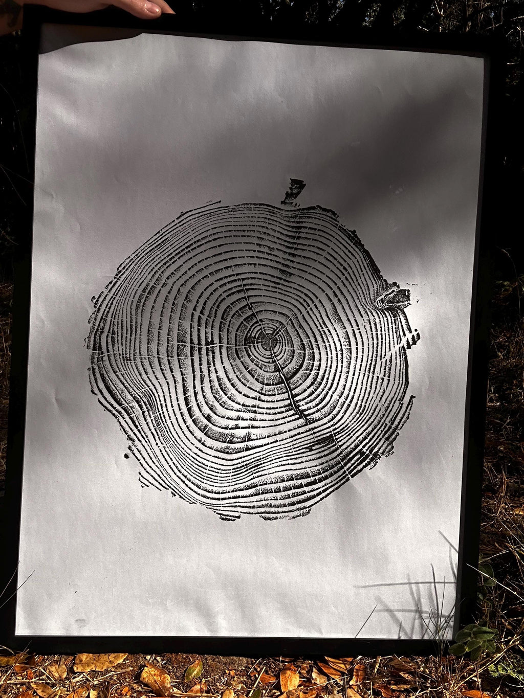 Handmade Coastal Pine Tree Print 18x24