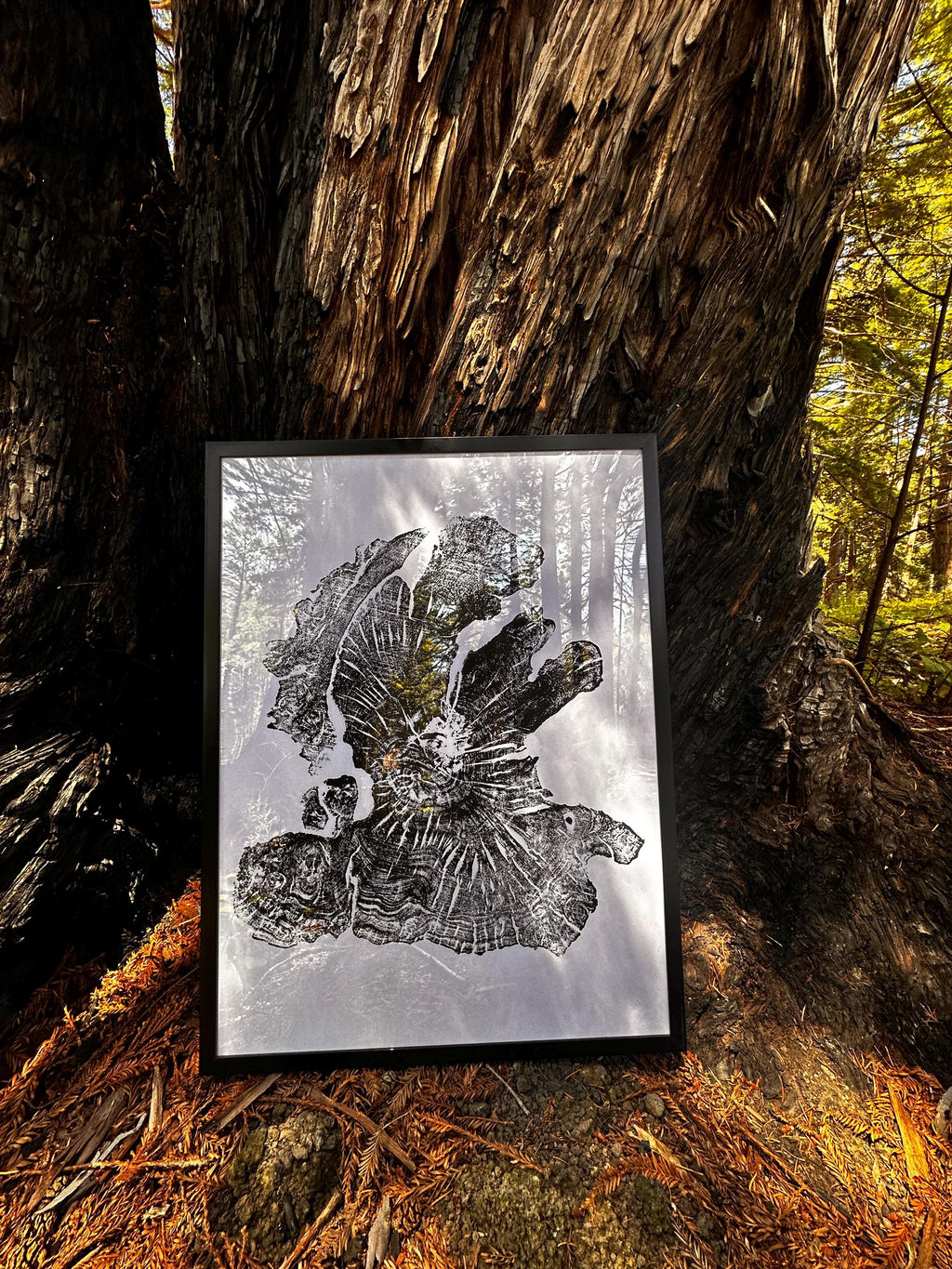 Handmade Olive Wood Tree Print 18x24