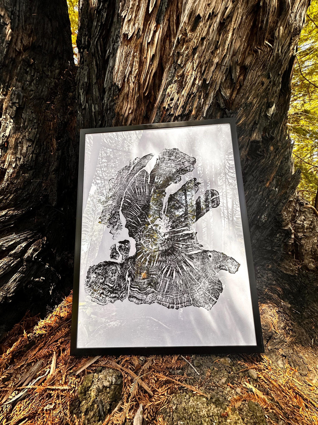 Handmade Olive Wood Tree Print 18x24