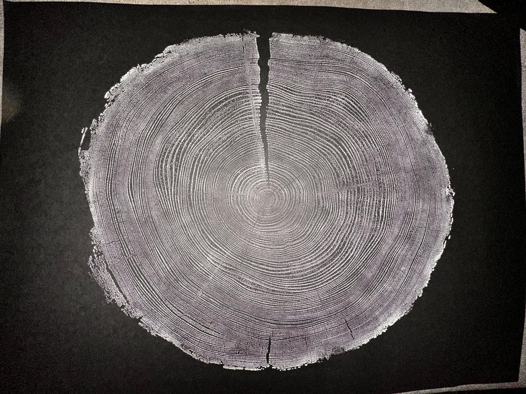 Handmade Redwood Tree Print 18x24