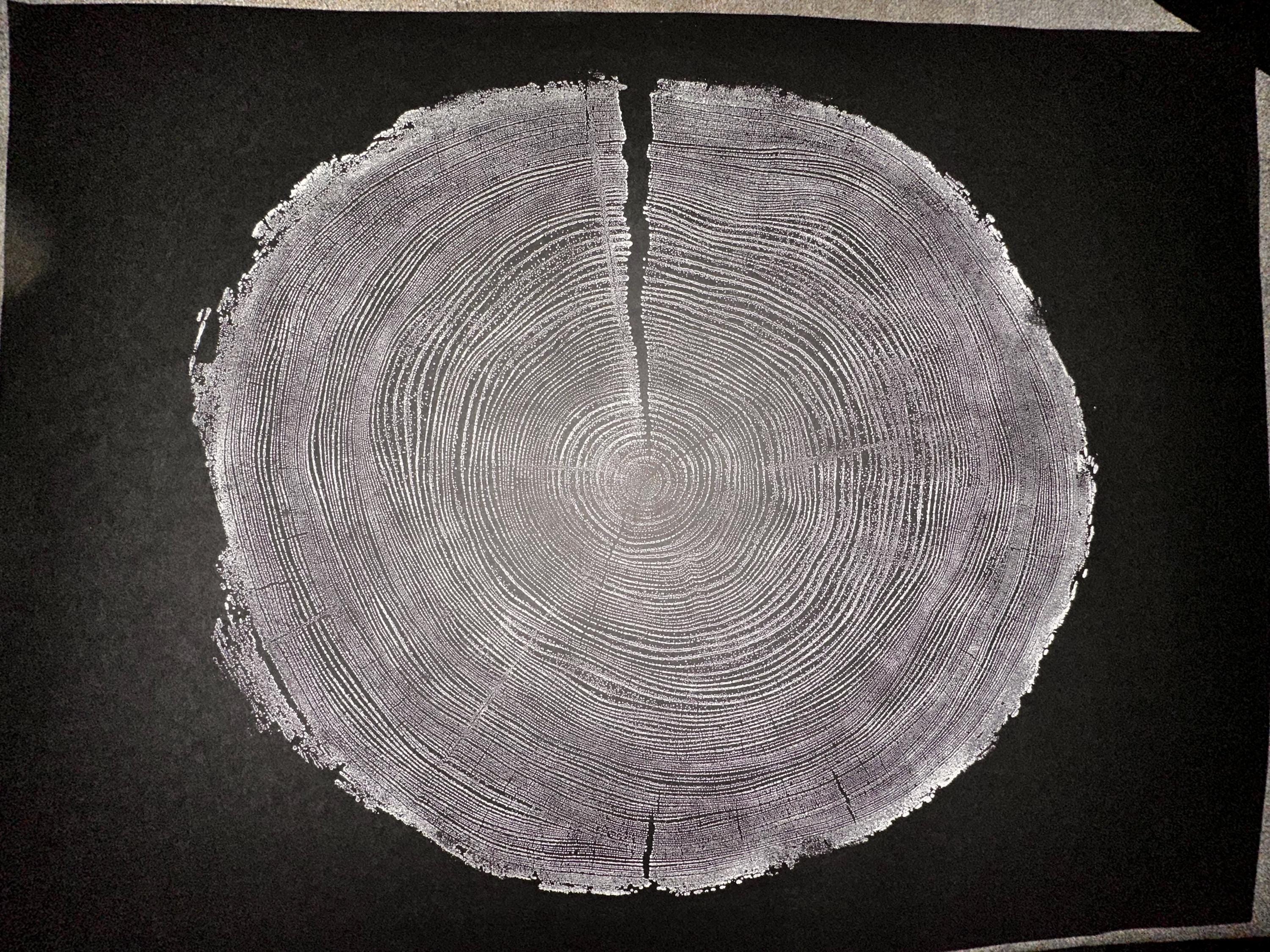 Handmade Redwood Tree Print 18x24
