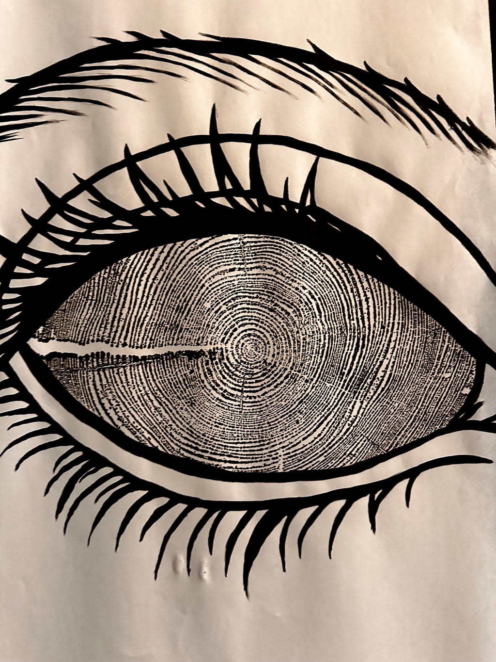 Redwood Tree Ring Eye-Ball Print 18x24 (Original Handmade)