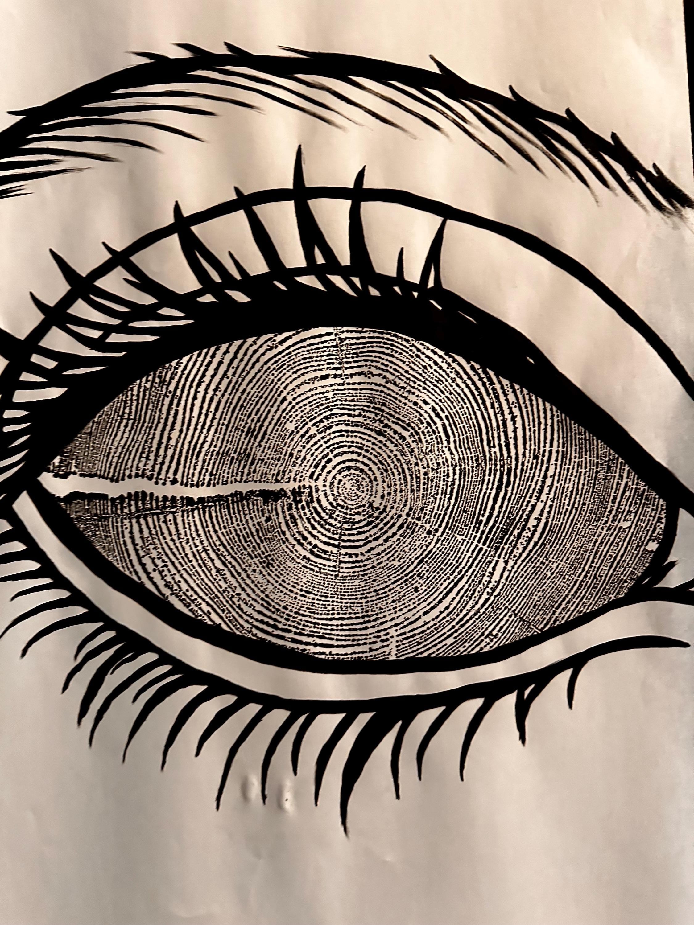 Redwood Tree Ring Eye-Ball Print 18x24 (Original Handmade)