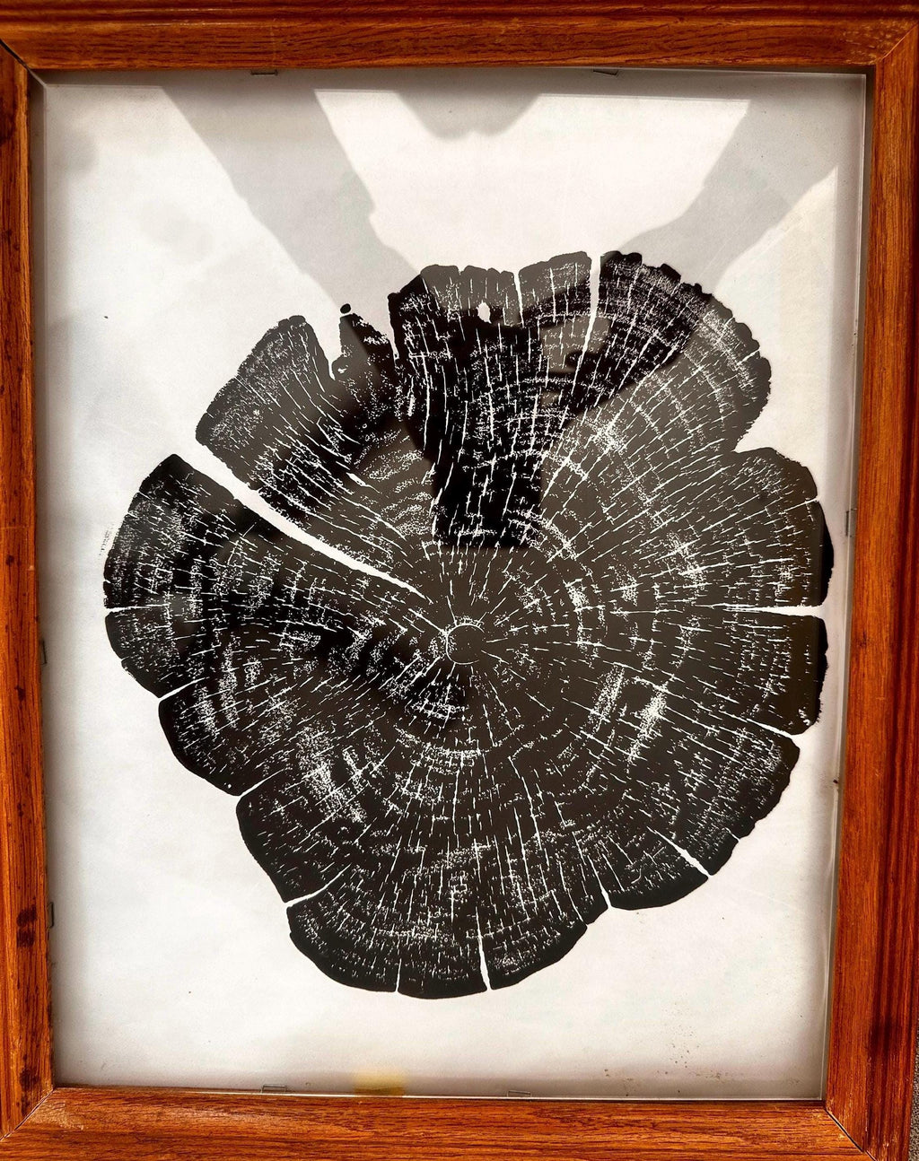 Handmade Red Cedar Tree Print 12x18