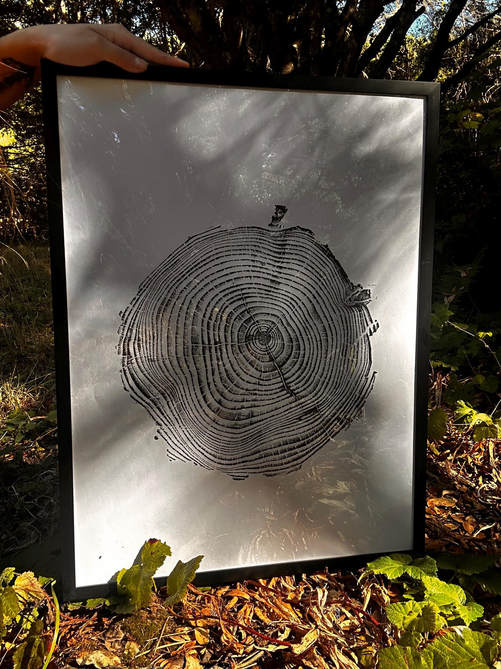 Handmade Coastal Pine Tree Print 18x24