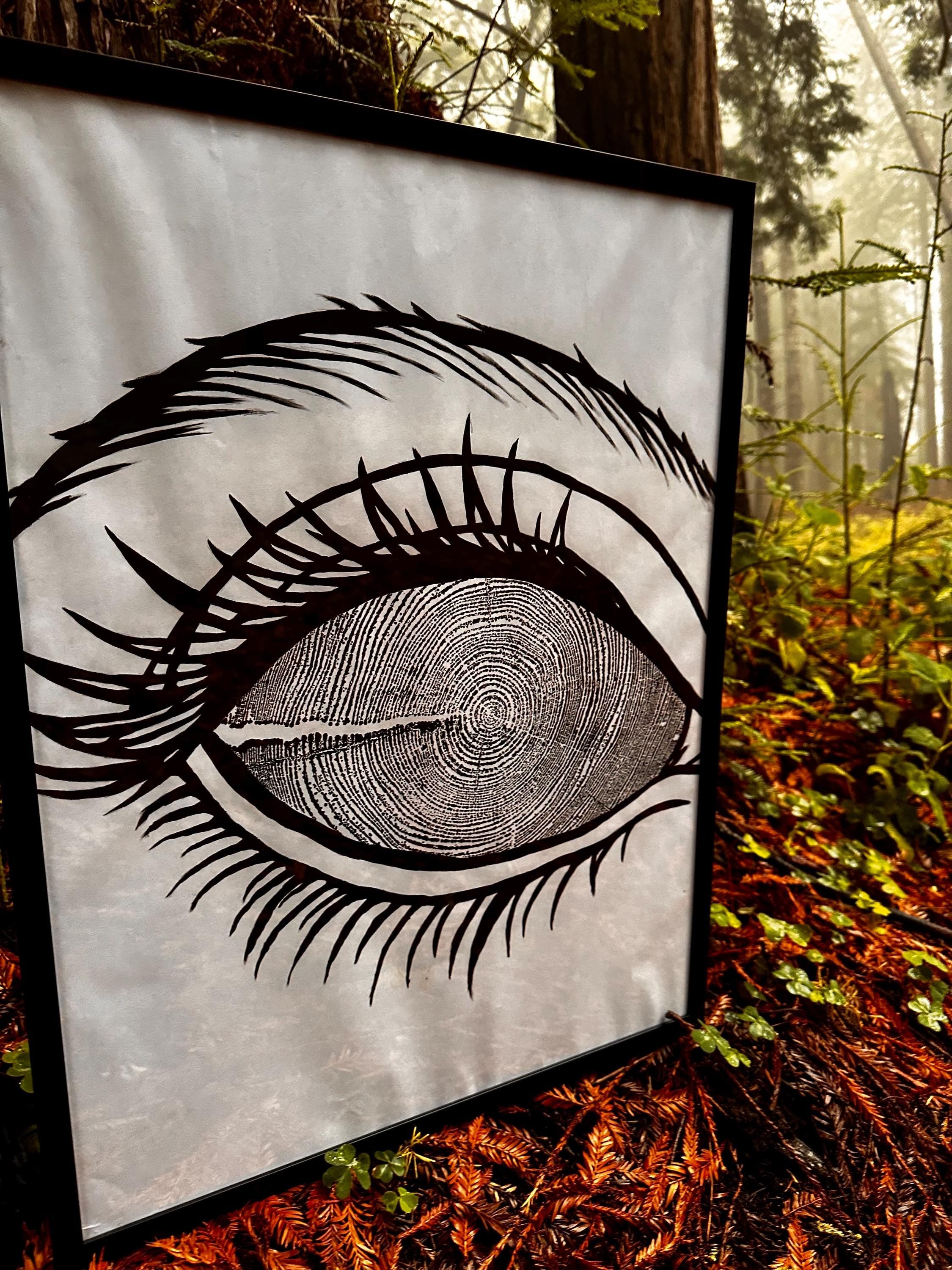 Redwood Tree Ring Eye-Ball Print 18x24 (Original Handmade)