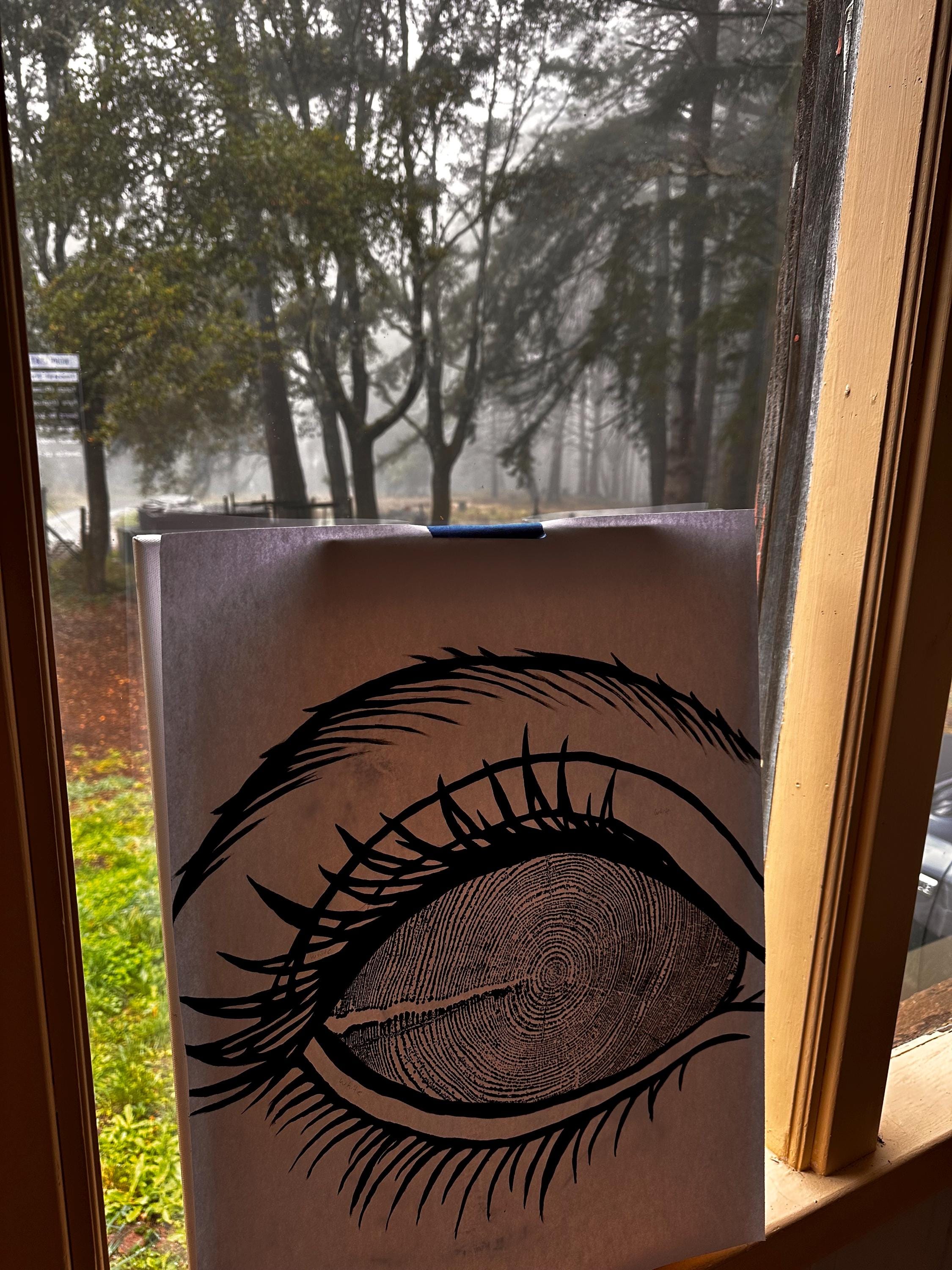 Redwood Tree Ring Eye-Ball Print 18x24 (Original Handmade)