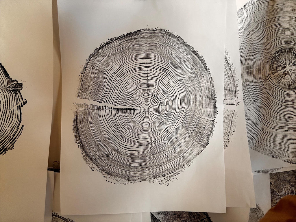 Handmade Redwood Tree Print 18x24