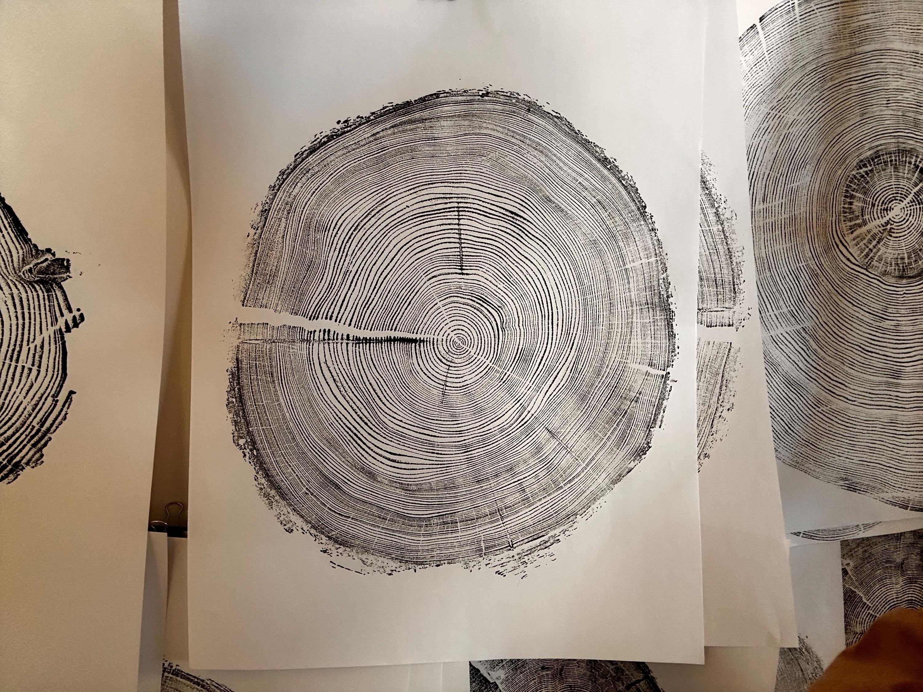 Handmade Redwood Tree Print 18x24