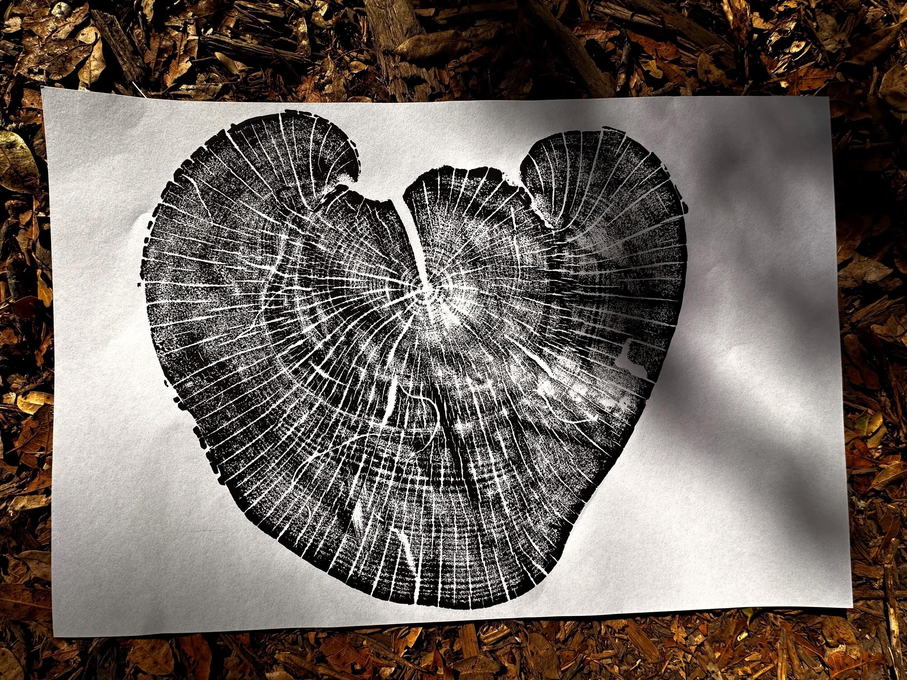Handmade Madrone Tree Print 12x18