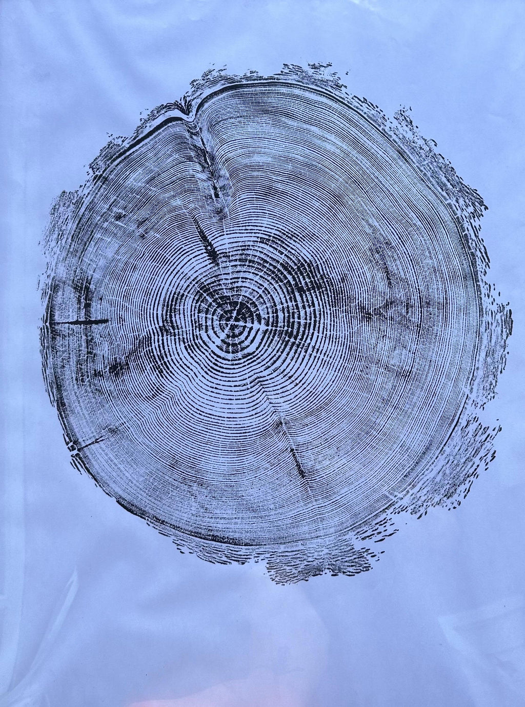 Handmade Redwood Tree Print 18x24