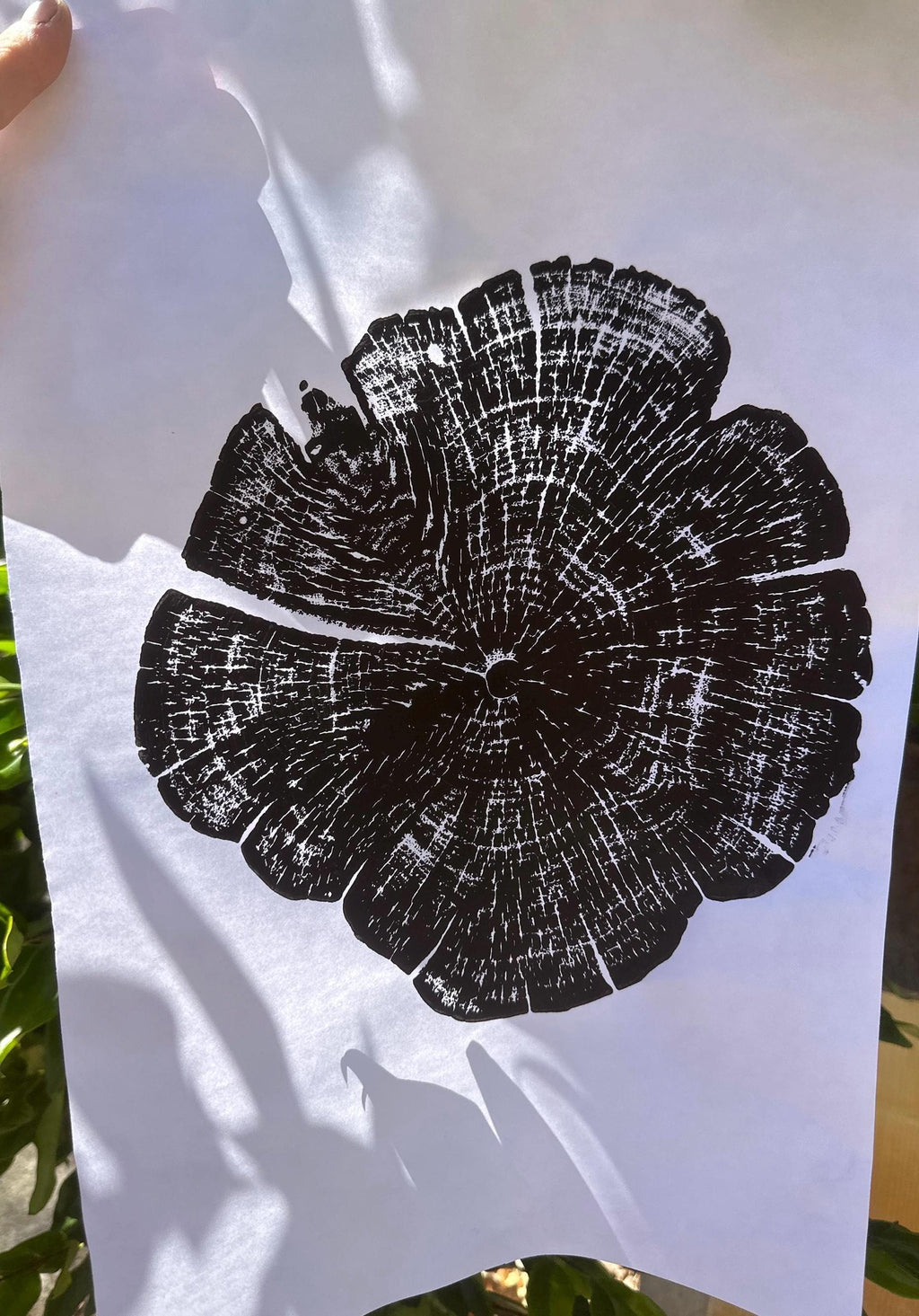 Handmade Red Cedar Tree Print 12x18