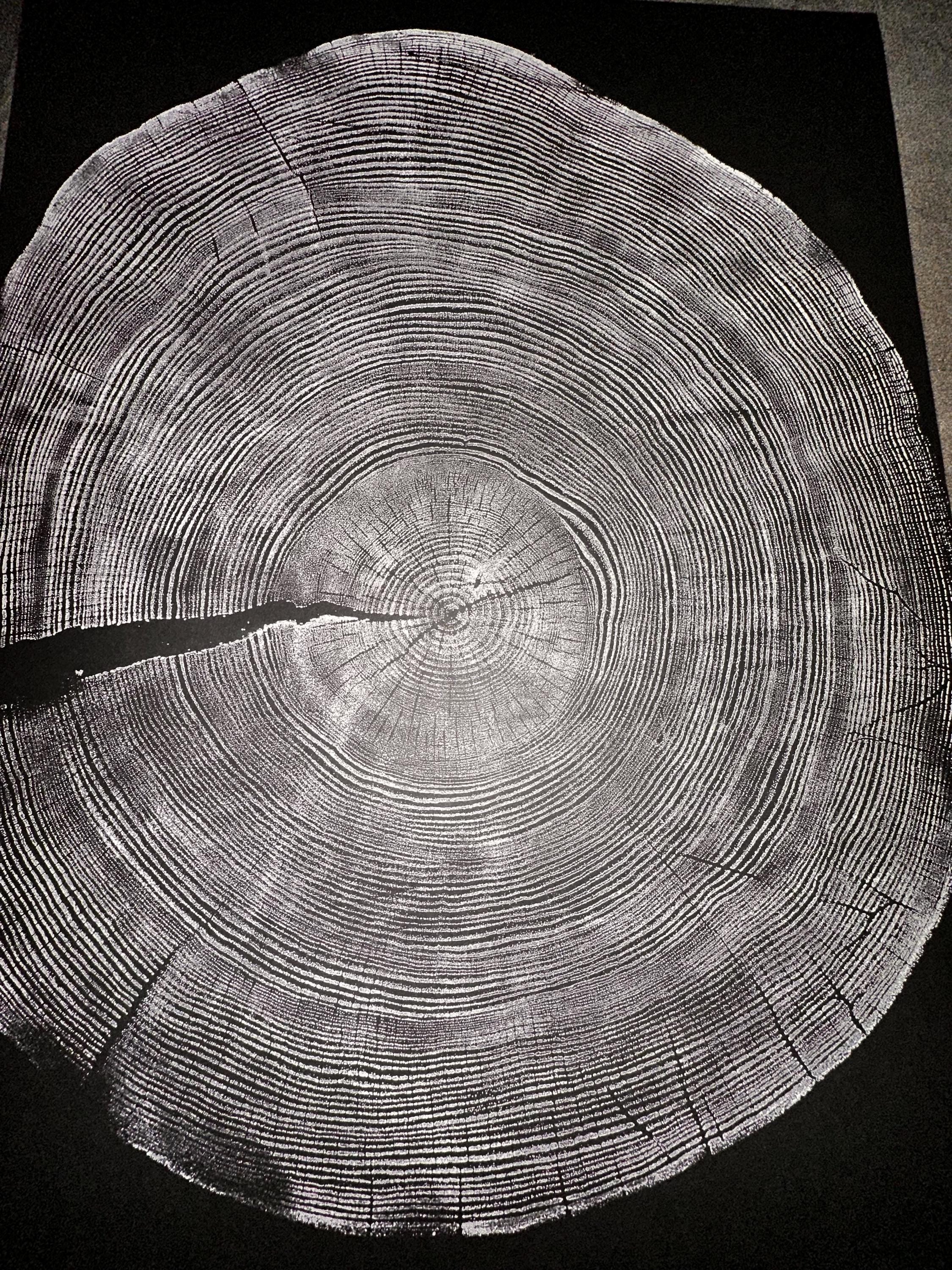 Handmade Ponderosa Pine Tree Print 18x24