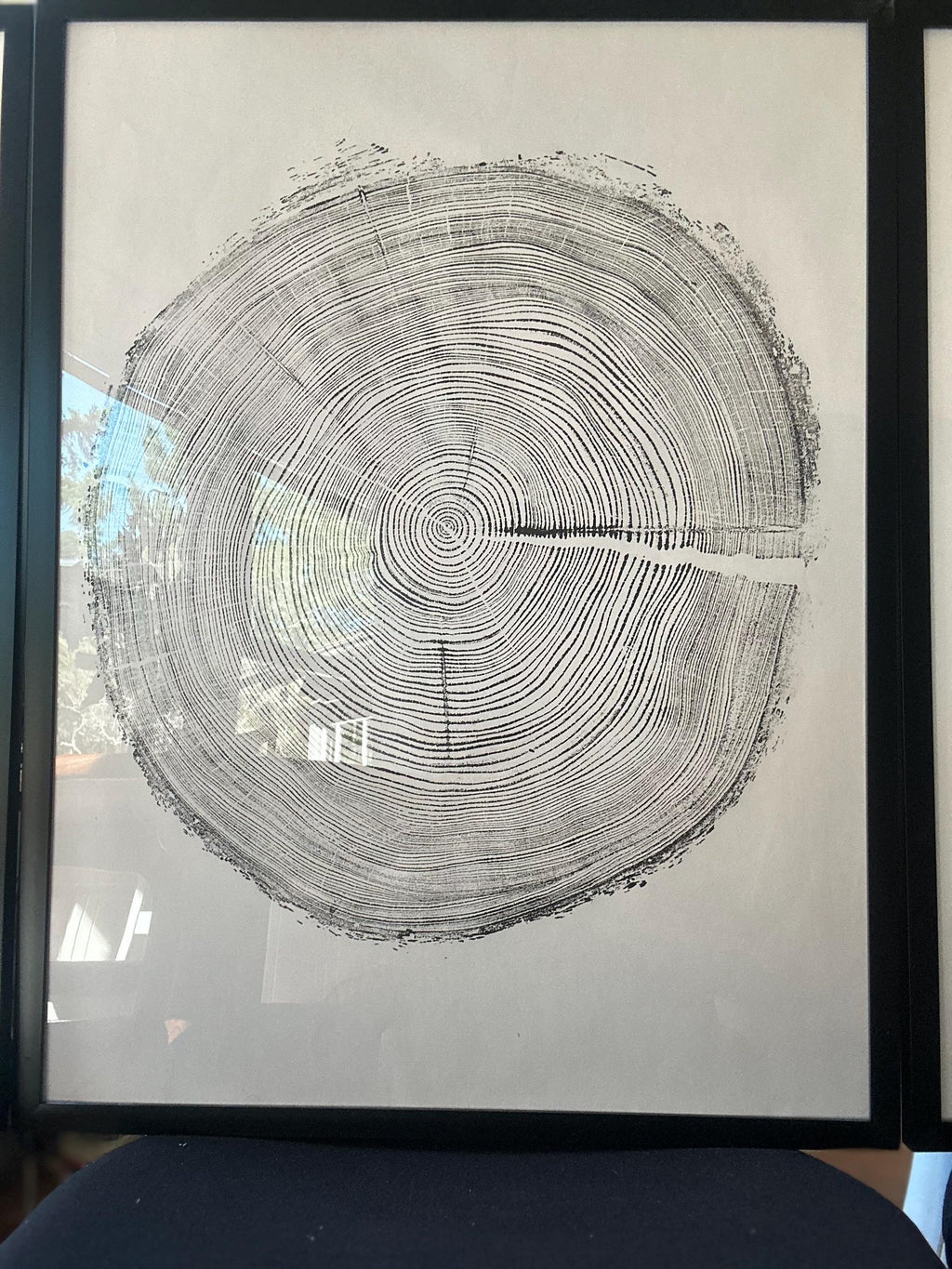 Handmade Redwood Tree Print 18x24