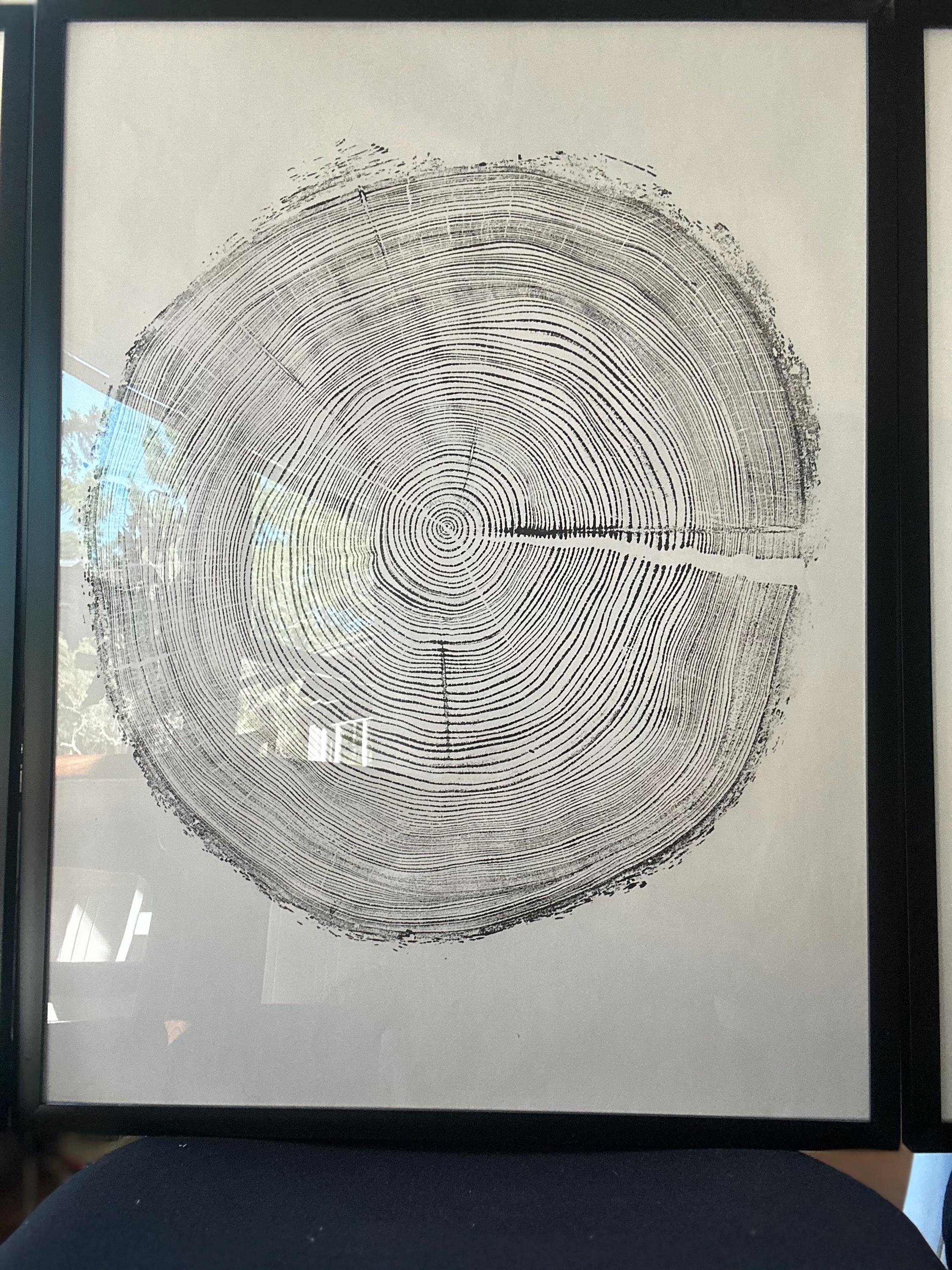 Handmade Redwood Tree Print 18x24