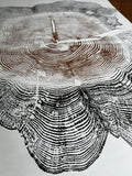 Handmade Big Red Cedar Tree Print 2-18x24s Reds
