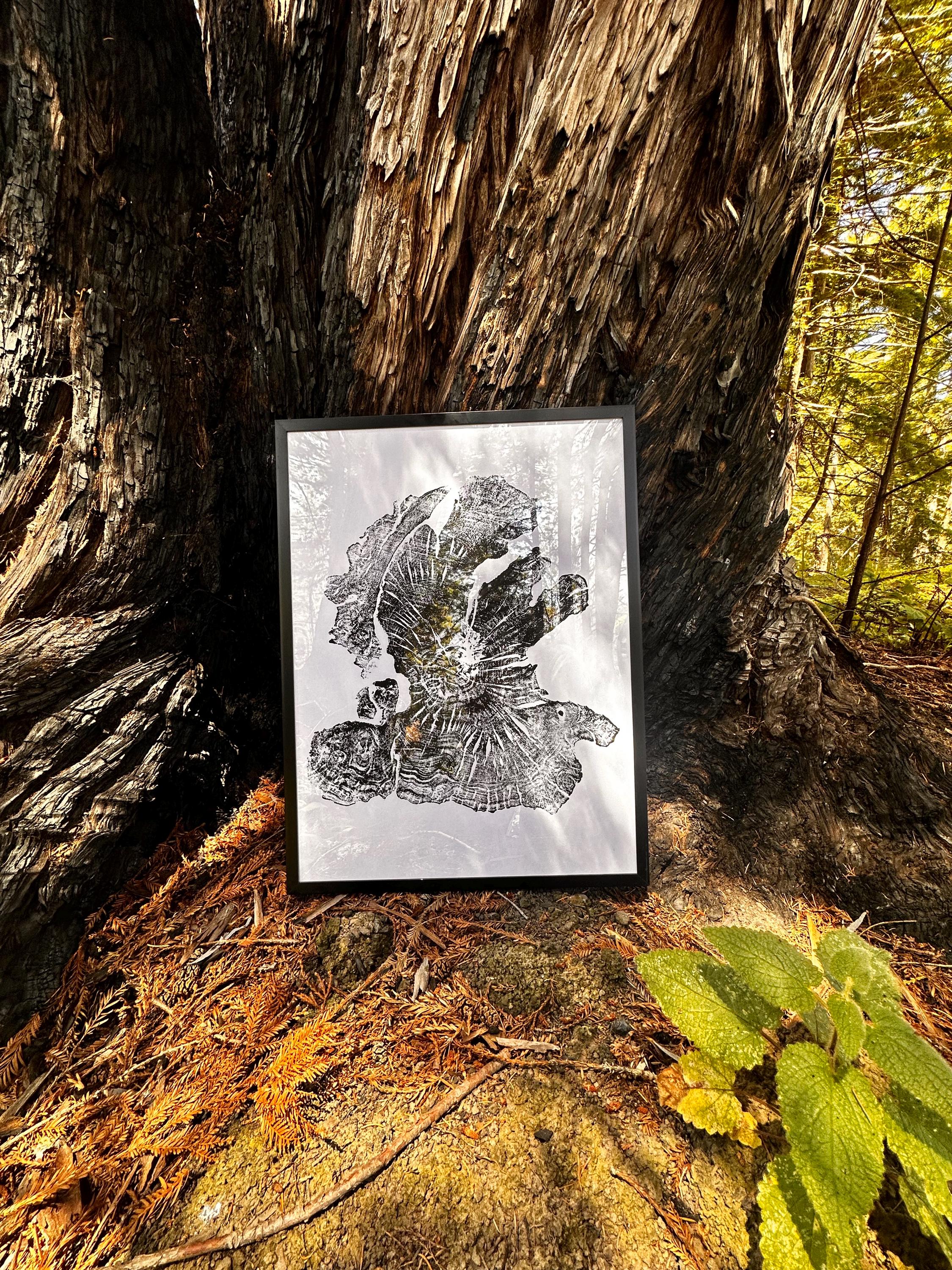 Handmade Olive Wood Tree Print 18x24