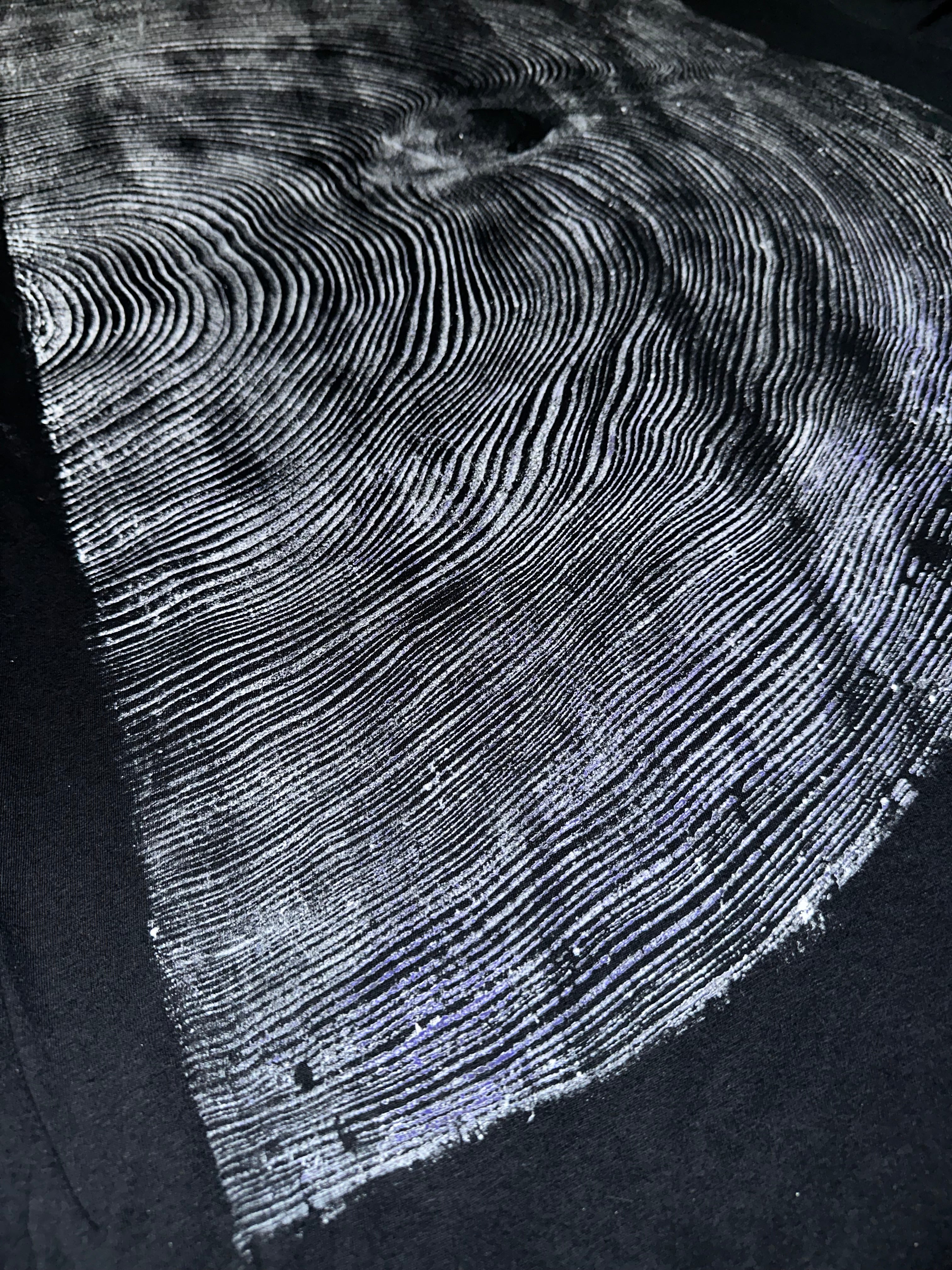 Coastal Redwood T-Shirt Hand-pressed, Tree Ring Art, Black-2X