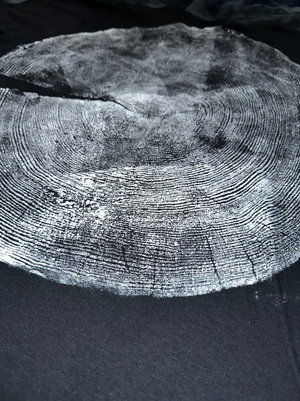 Ponderosa Pine T-Shirt Hand-pressed, Tree Ring Art, Black-XL
