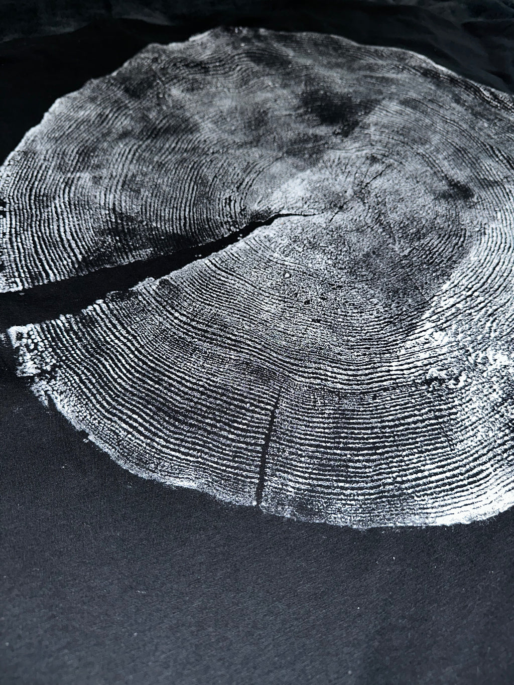 Ponderosa Pine T-Shirt Hand-pressed, Tree Ring Art, Black-XL