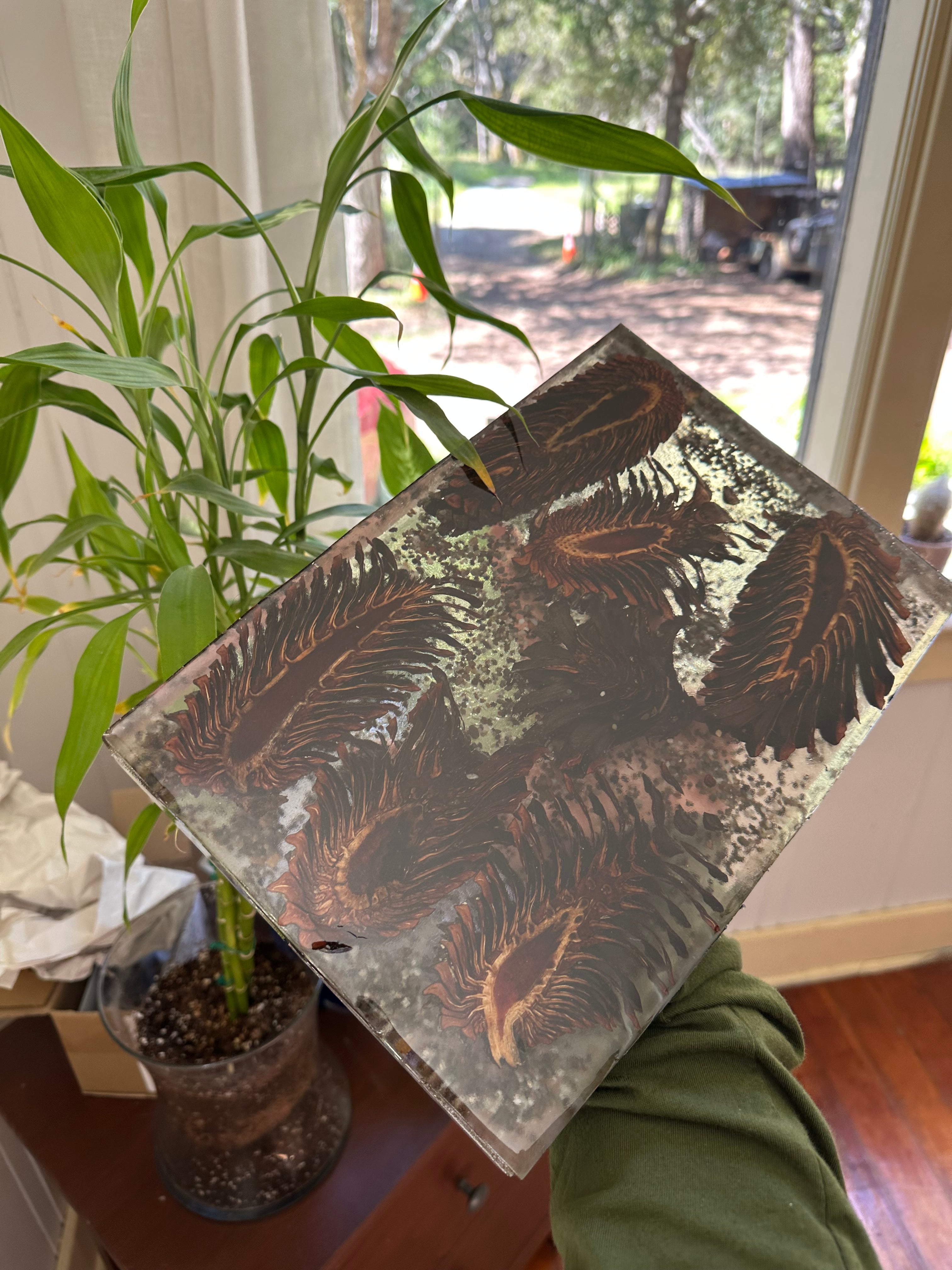 Pinecone Epoxy Center Piece, Book shelf stand, wall or desk decor nature