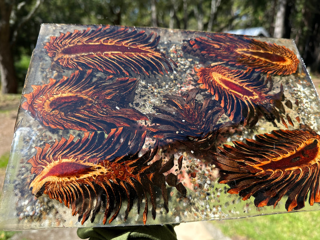 Pinecone Epoxy Center Piece, Book shelf stand, wall or desk decor nature