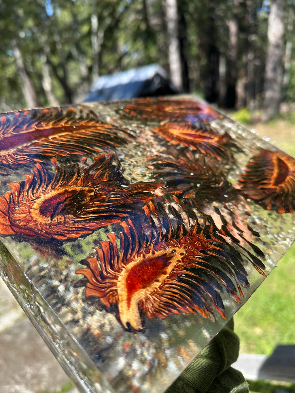 Pinecone Epoxy Center Piece, Book shelf stand, wall or desk decor nature