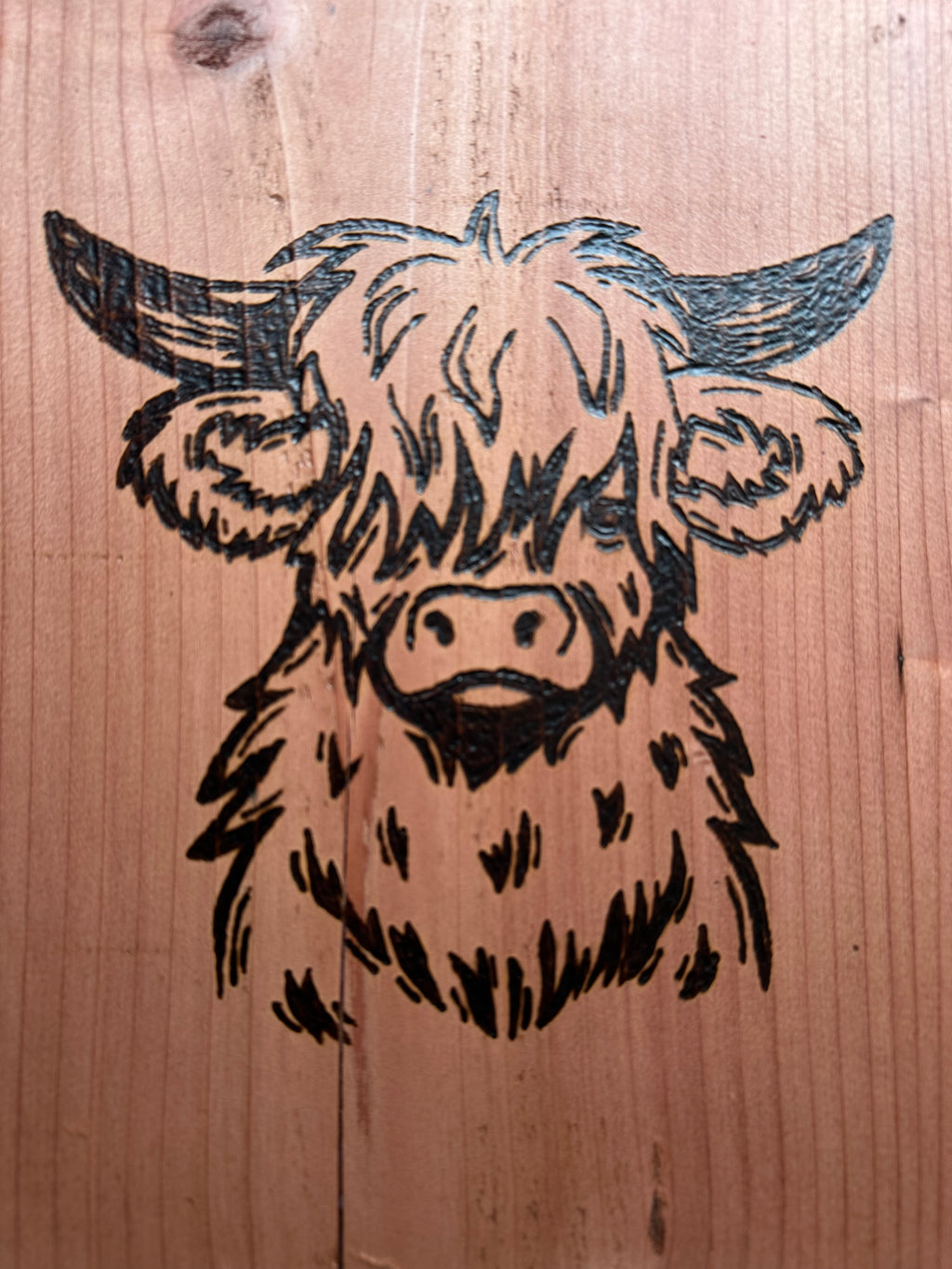 Redwood Wood-Burning Highland Cow, wall art, wall decor