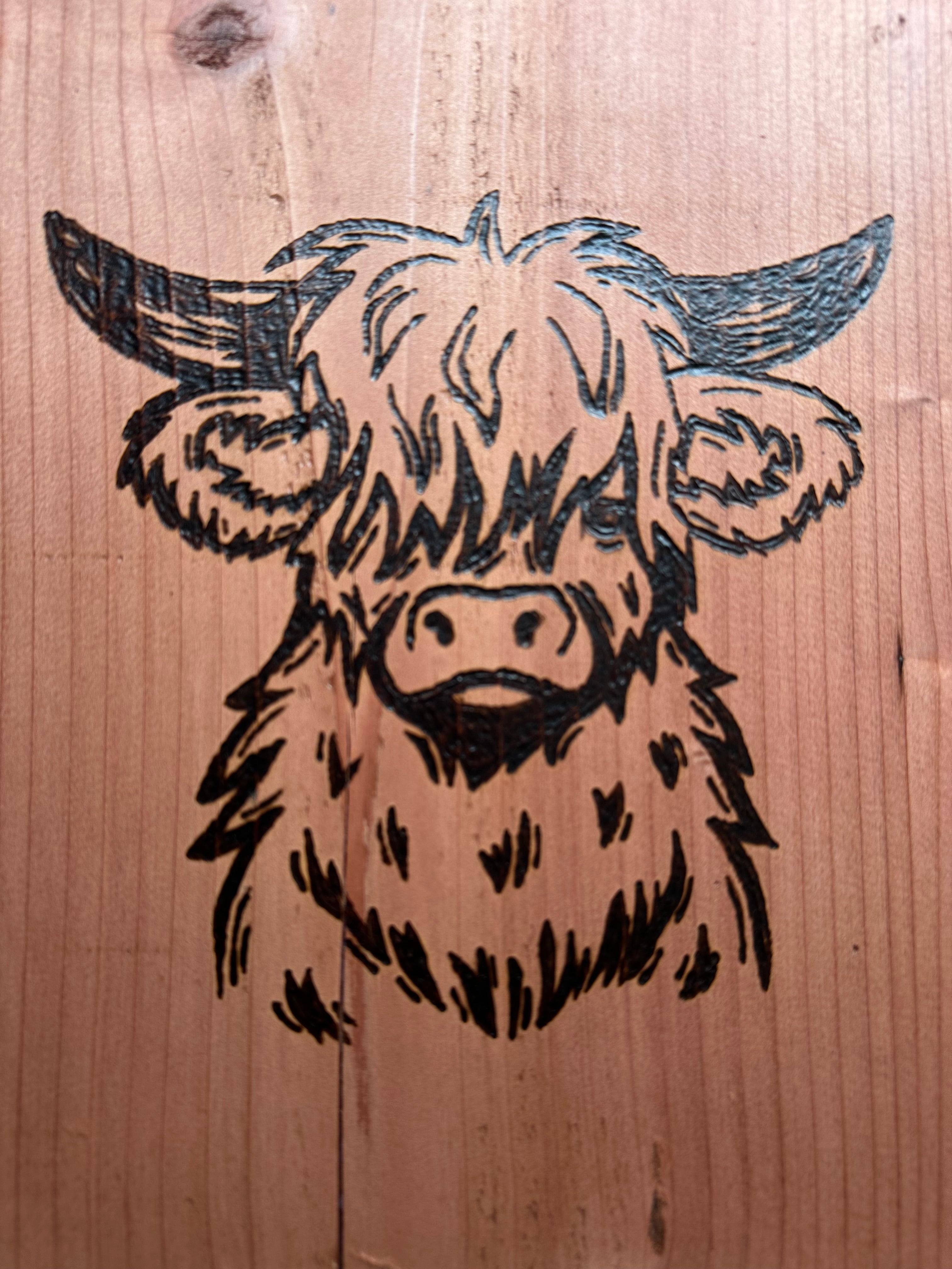 Redwood Wood-Burning Highland Cow, wall art, wall decor
