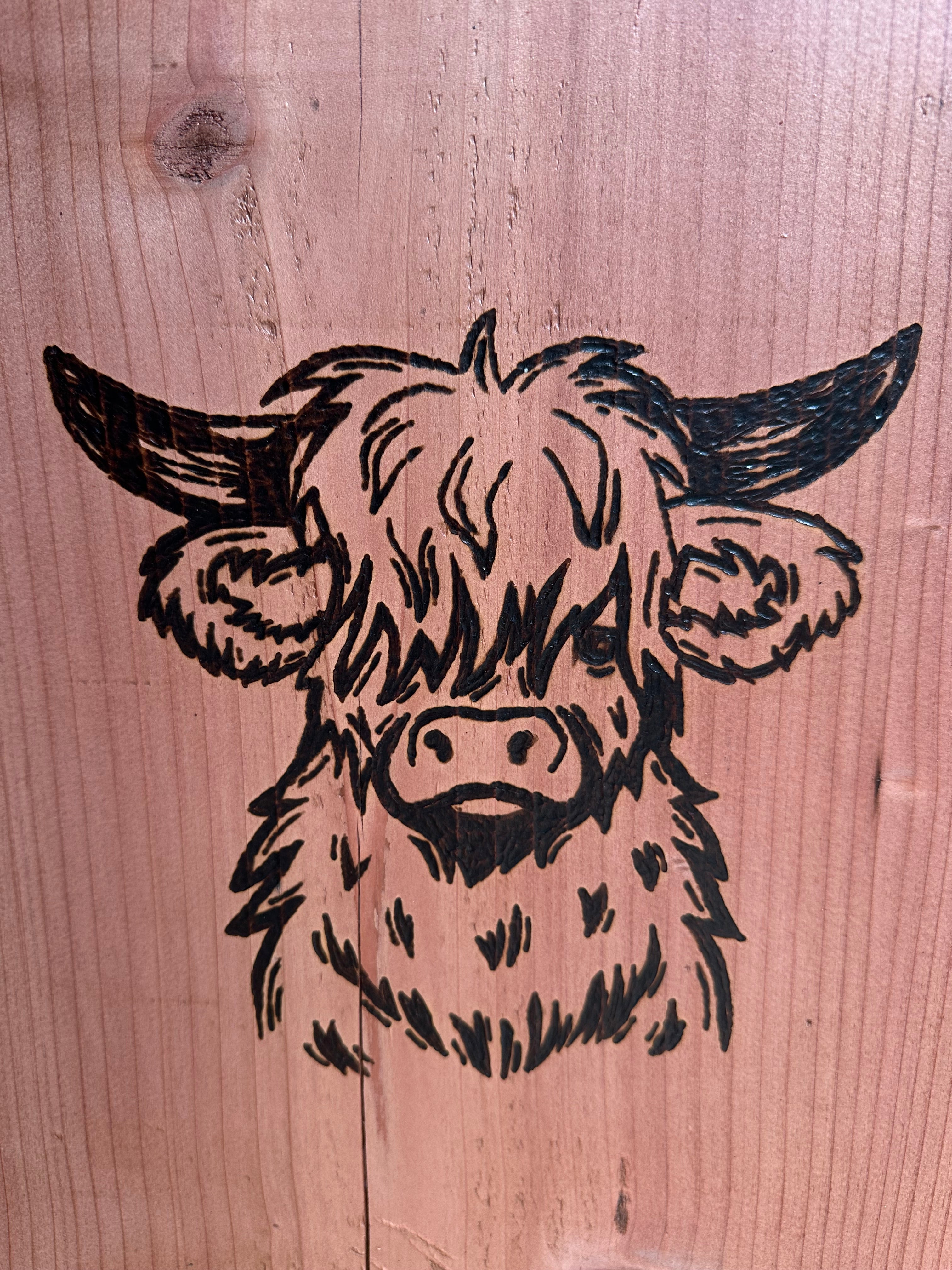 Redwood Wood-Burning Highland Cow, wall art, wall decor