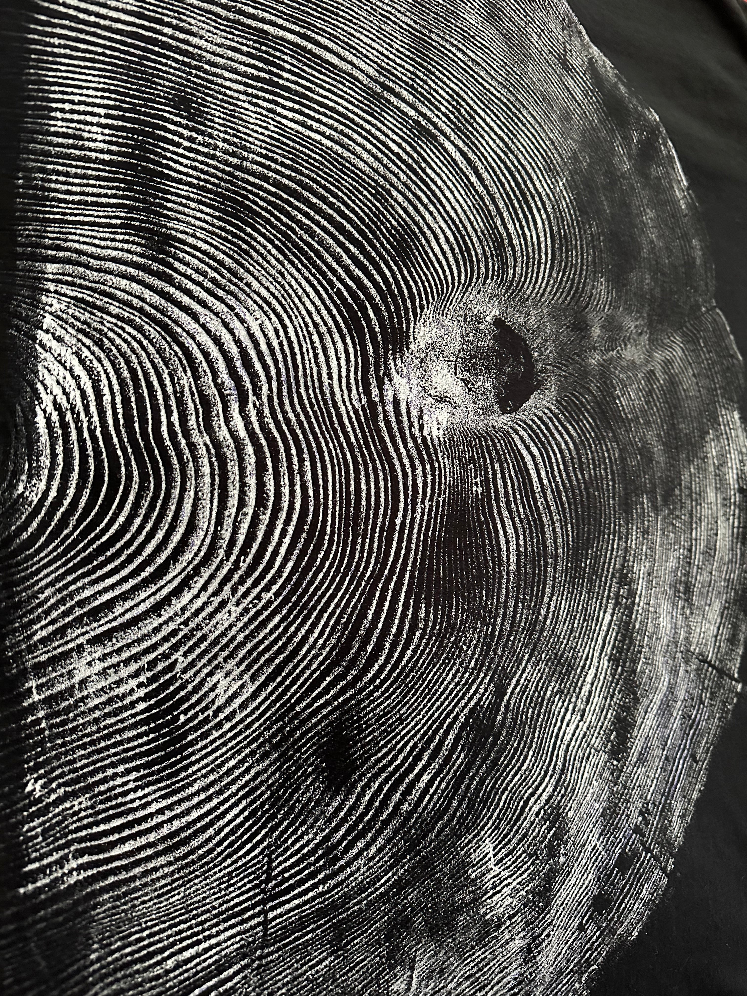 Coastal Redwood T-shirt Hand-pressed, Tree Ring Art, Black-XLarge