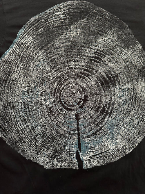 Coastal Pine T-shirt Hand-pressed, Tree Ring Art, Black-Small
