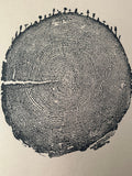 Redwood Tree Print, Forest Themed, Tree Ring Art