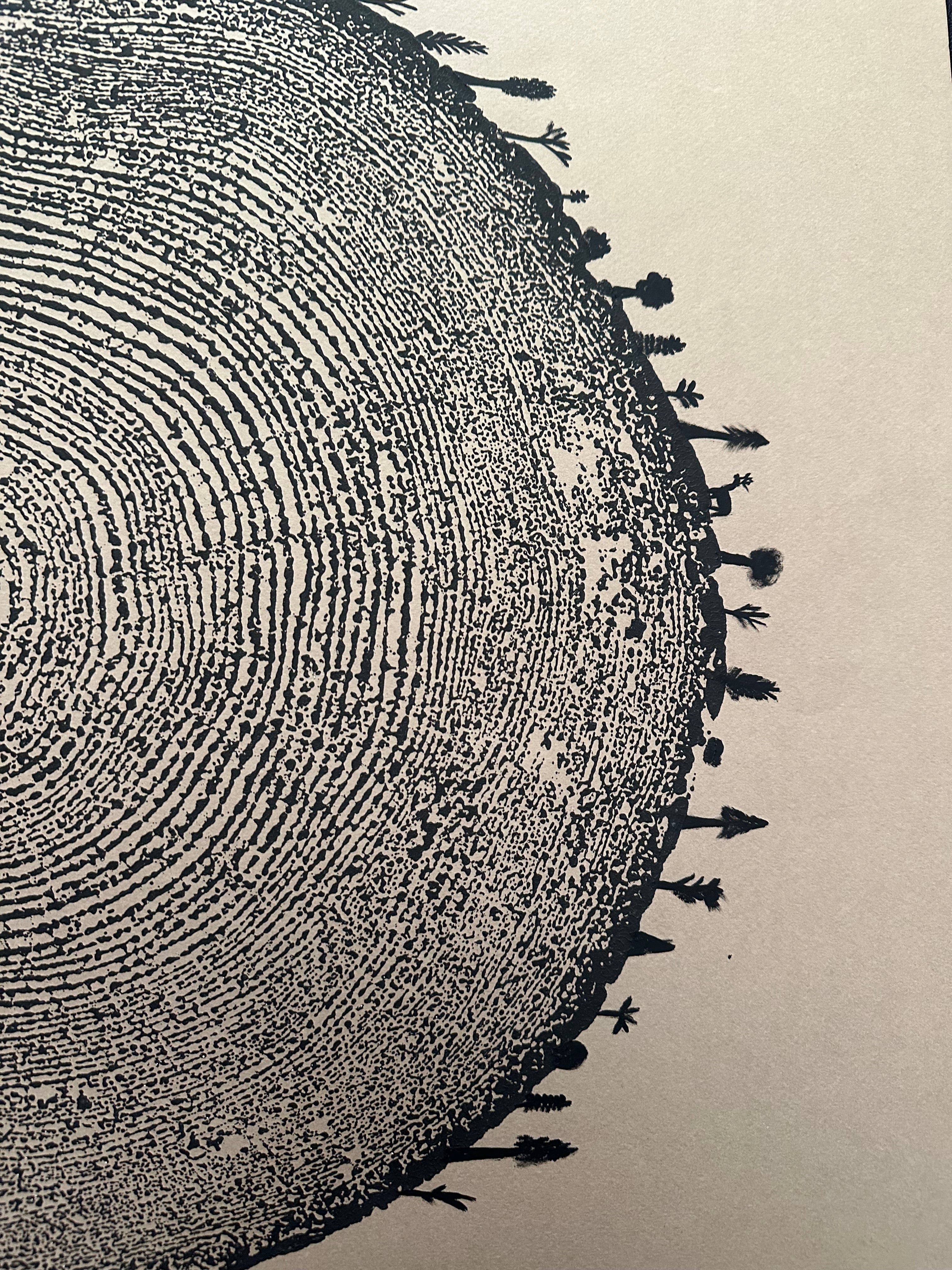 Redwood Tree Print, Forest Themed, Tree Ring Art
