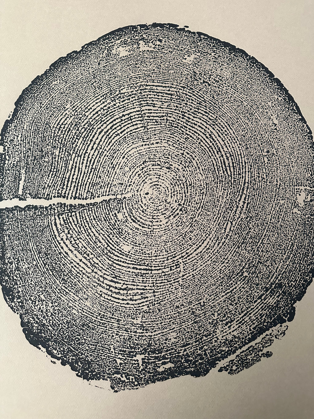Redwood Tree Print, Tree Ring Art, Brown's