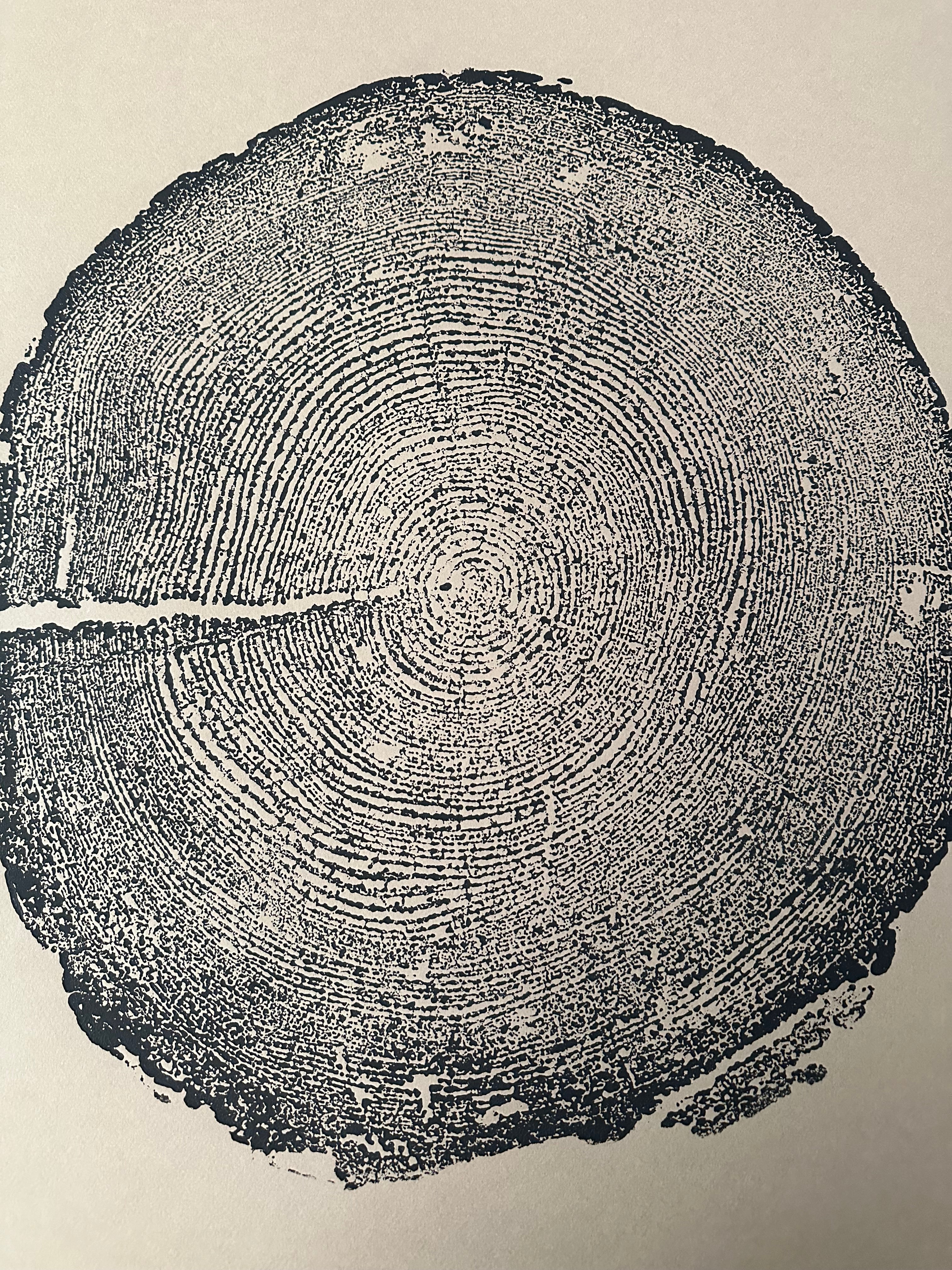 Redwood Tree Print, Tree Ring Art, Brown's